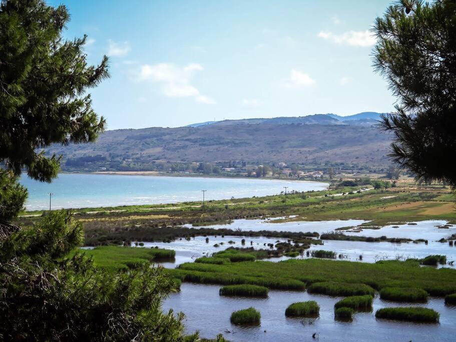Villa Rania: Ευάερη Βίλα Με Θέα Τη Θάλασσα Lixouri Buitenkant foto