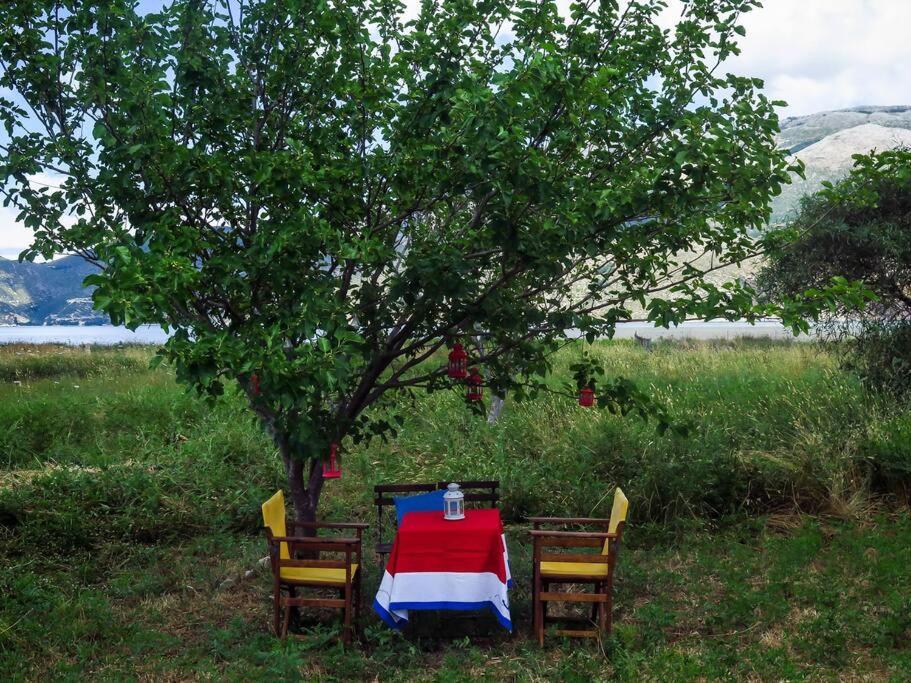 Villa Rania: Ευάερη Βίλα Με Θέα Τη Θάλασσα Lixouri Buitenkant foto
