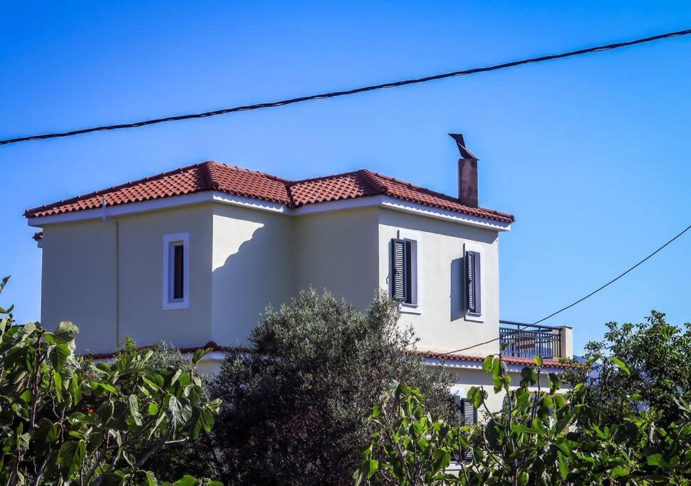 Villa Rania: Ευάερη Βίλα Με Θέα Τη Θάλασσα Lixouri Buitenkant foto