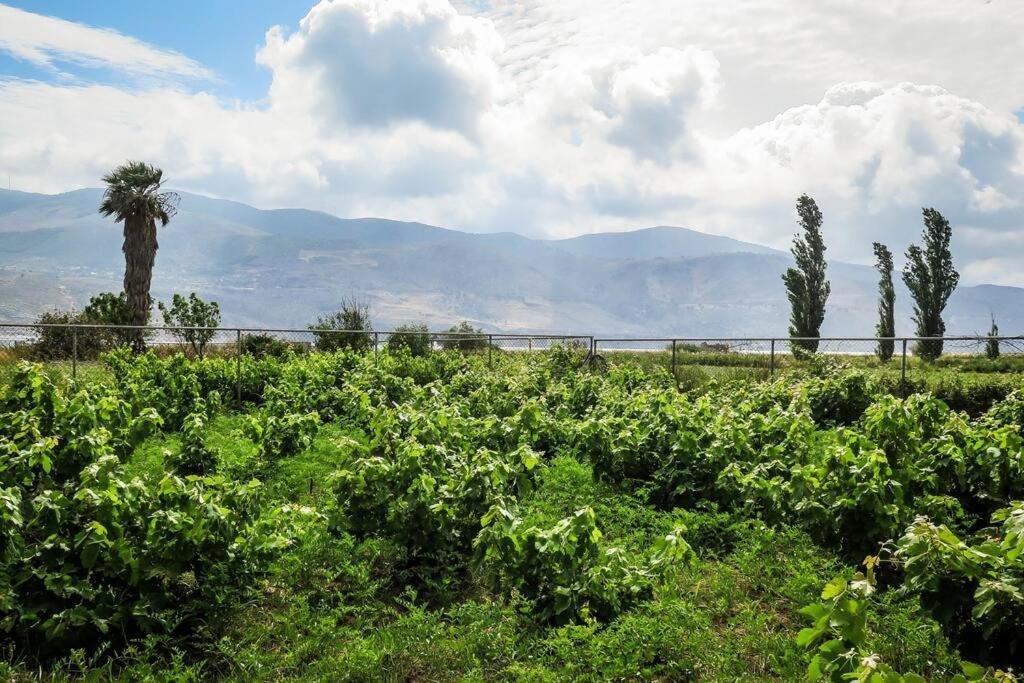 Villa Rania: Ευάερη Βίλα Με Θέα Τη Θάλασσα Lixouri Buitenkant foto