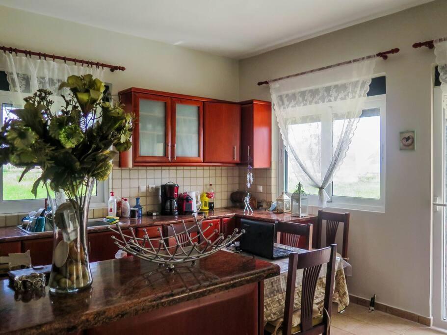 Villa Rania: Ευάερη Βίλα Με Θέα Τη Θάλασσα Lixouri Buitenkant foto