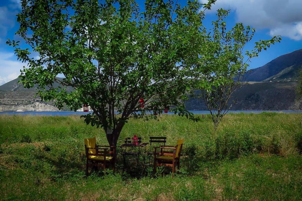 Villa Rania: Ευάερη Βίλα Με Θέα Τη Θάλασσα Lixouri Buitenkant foto